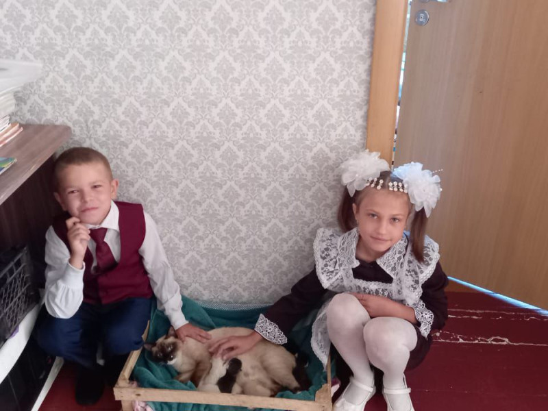 Всероссийский конкурс «Семейная жизнь домашних животных».